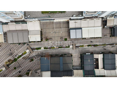 WhatsApp Image 2026-04-13 at 13.49.53 (7).jpeg